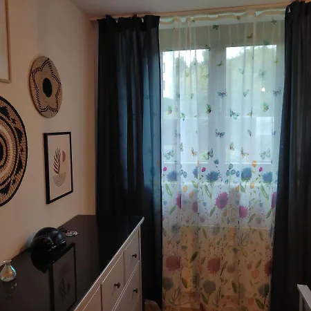 Lägenhet 2-zimmer Ferienwohnung A1 Kniebis