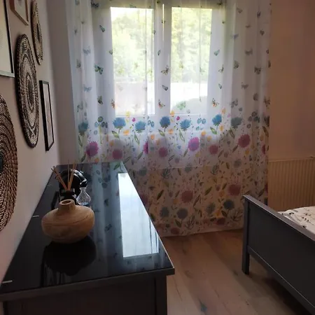 Lägenhet 2-zimmer Ferienwohnung A1 Kniebis